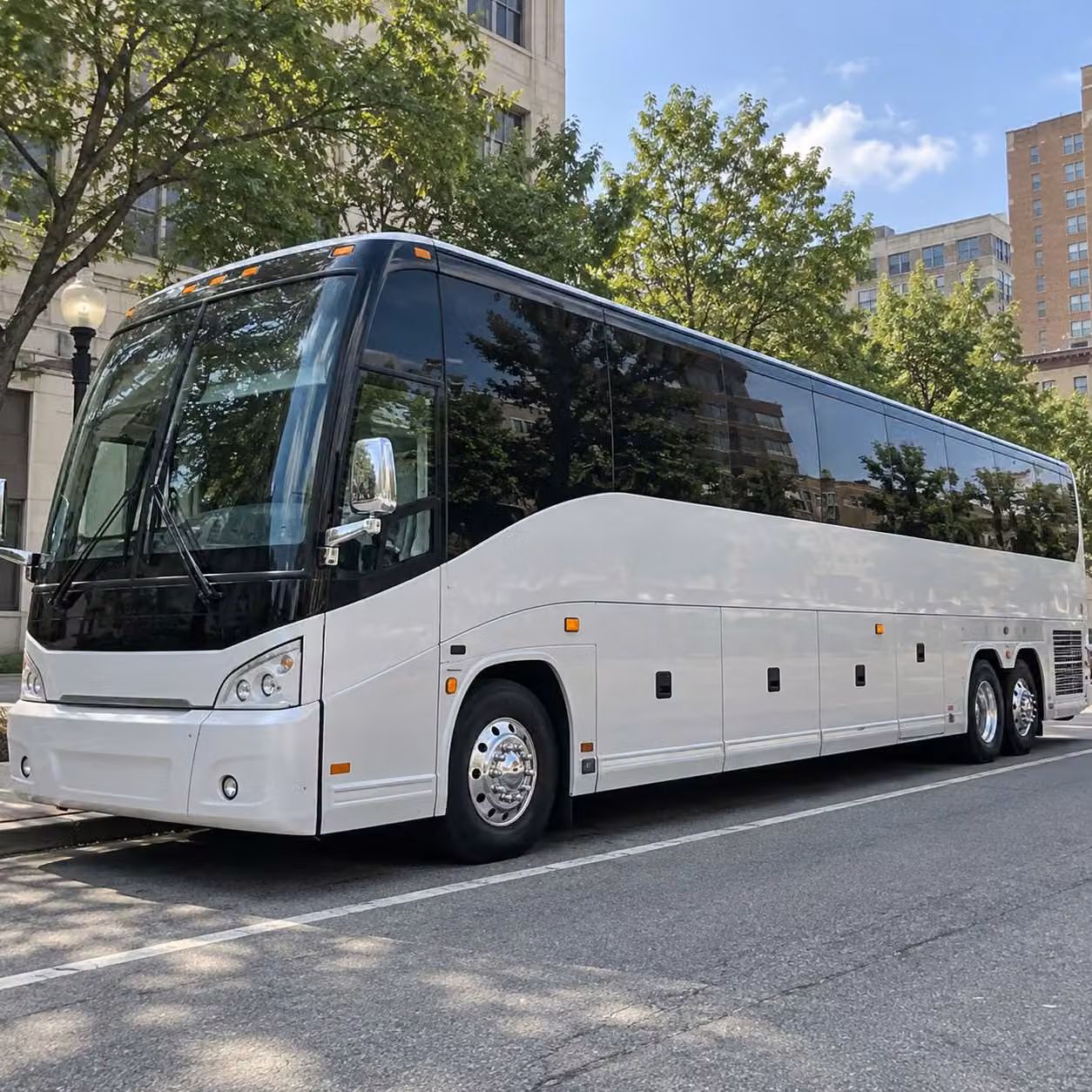 charter buses and minibuses for fgcu eagles games and campus events in estero
